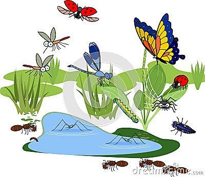 Cartoon pond with many species of insects living near the water Vector Illustration